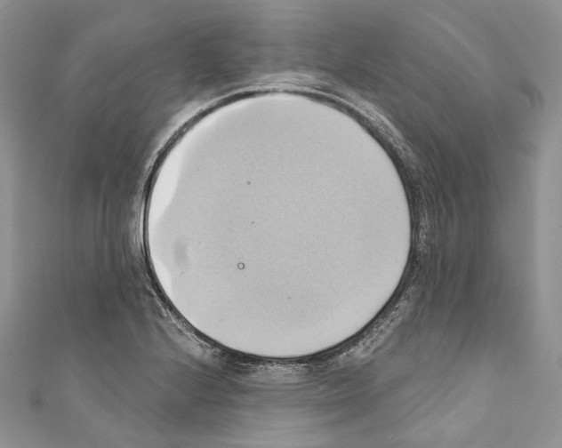 X0000110681224200907241036