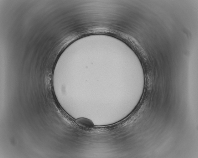 X0000110681225200907241036