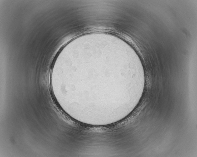 X0000110681227200907241036