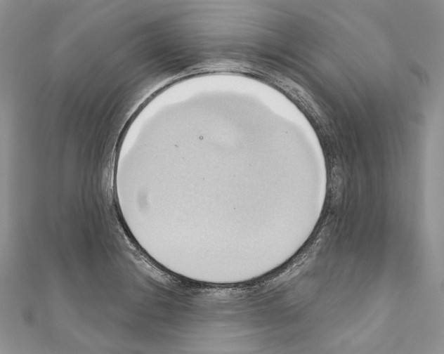 X0000110681228200907241036