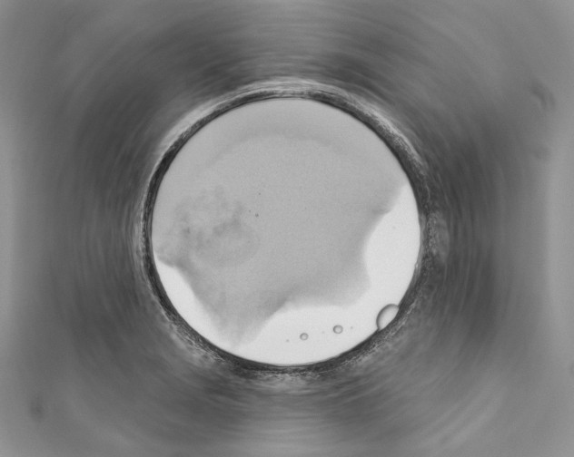 X0000110681229200907241036