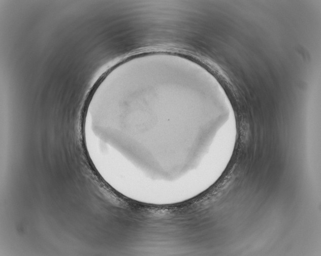 X0000110681230200907241036