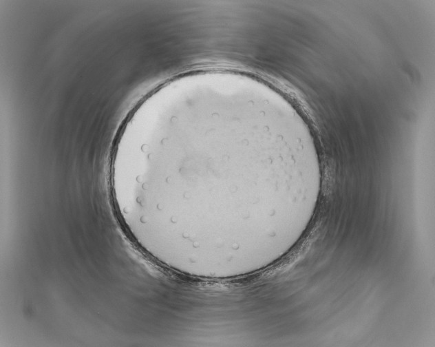 X0000110681231200907241036
