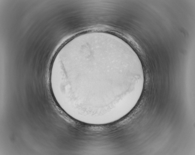 X0000110681232200907241036