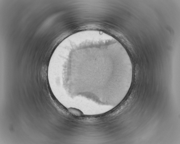 X0000110681233200907241036