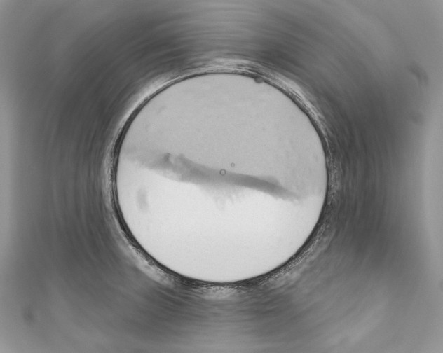 X0000110681235200907241036