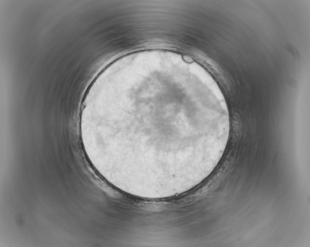 X0000110681236200907241036