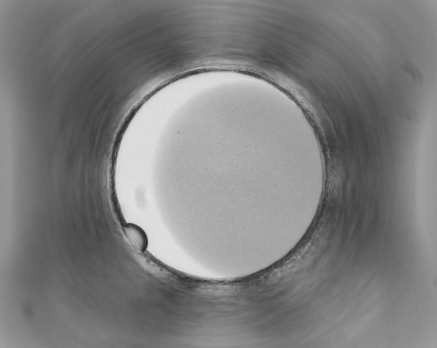 X0000110681237200907241037
