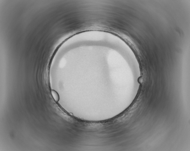 X0000110681238200907241037