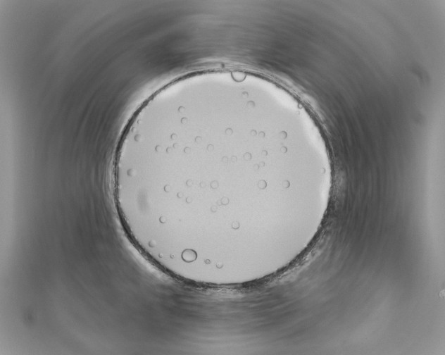 X0000110681239200907241037