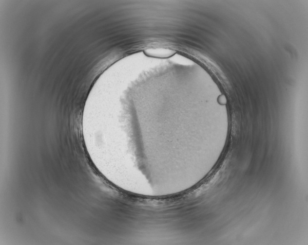 X0000110681241200907241037