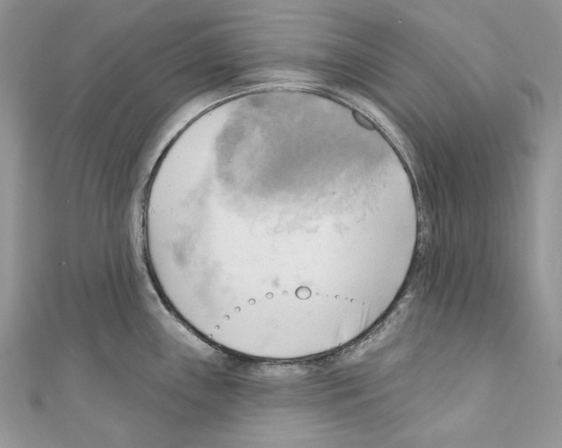 X0000110681243200907241037