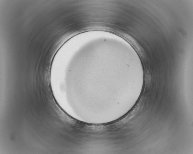 X0000110681244200907241037