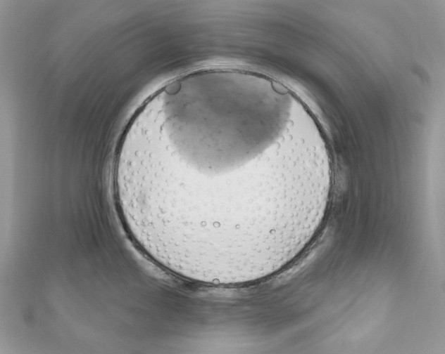X0000110681245200907241037