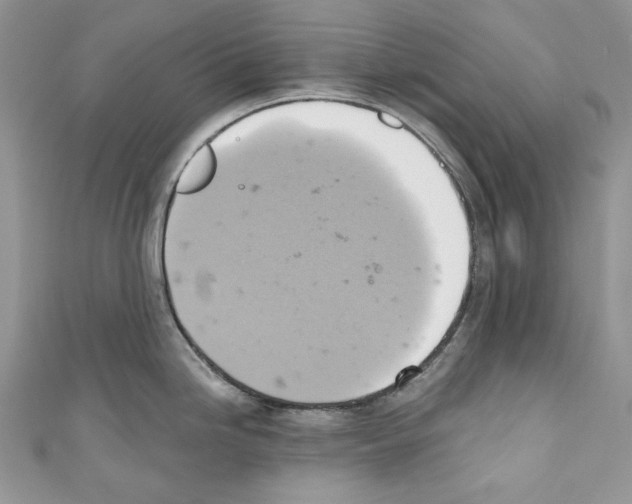 X0000110681246200907241037
