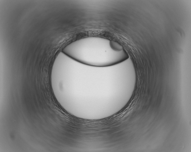 X0000110681252200907241036