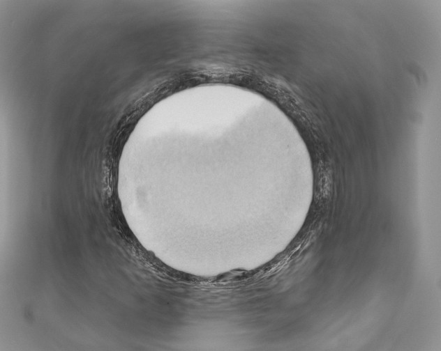 X0000110681253200907241036