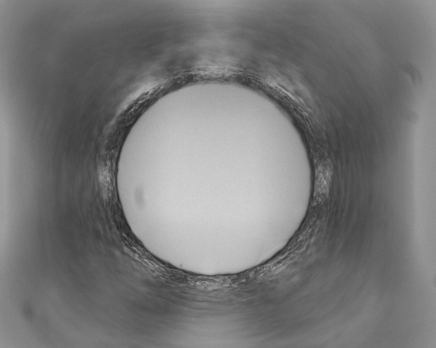 X0000110681254200907241036