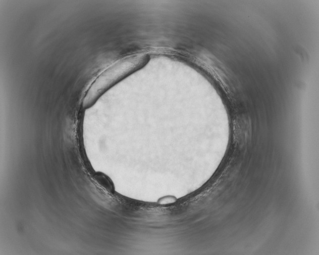 X0000110681260200907241036