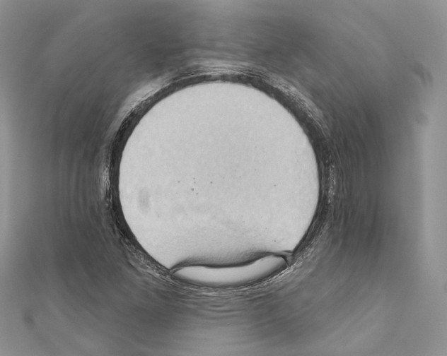 X0000110681261200907241036