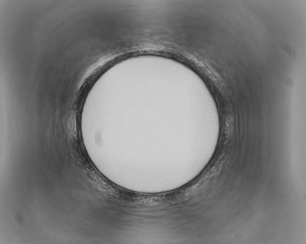 X0000110681262200907241036