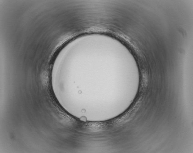 X0000110681266200907241036