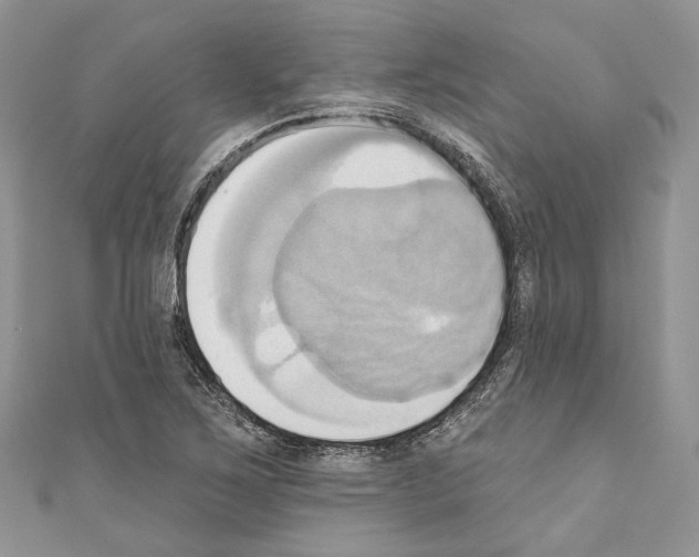 X0000110681267200907241036