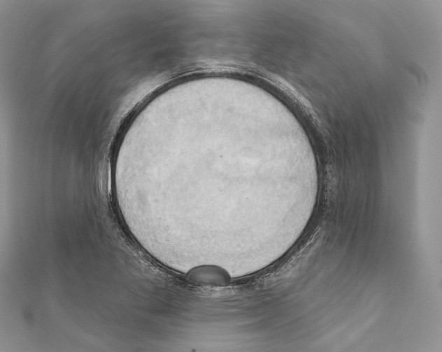 X0000110681269200907241036