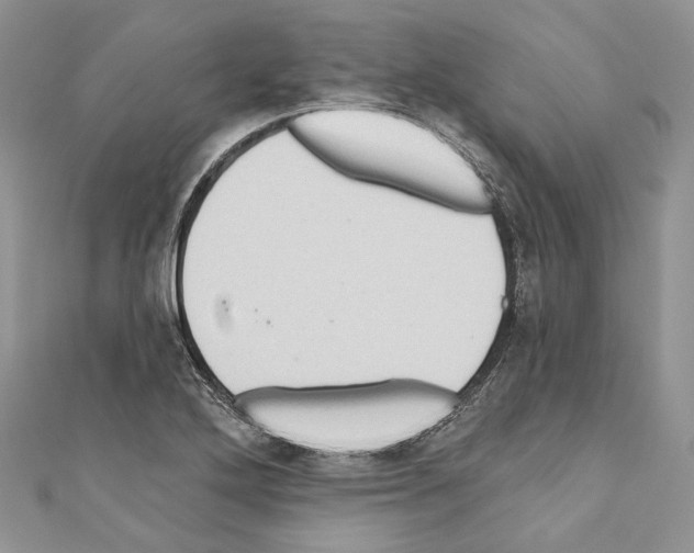 X0000110681272200907241036