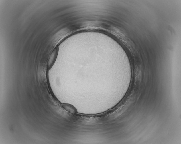 X0000110681273200907241036