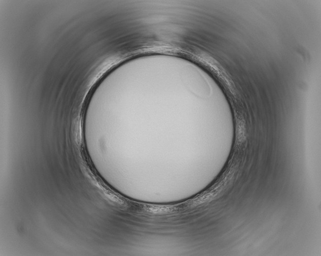X0000110681274200907241036