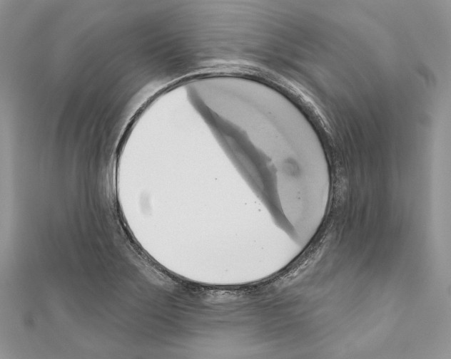 X0000110681275200907241036