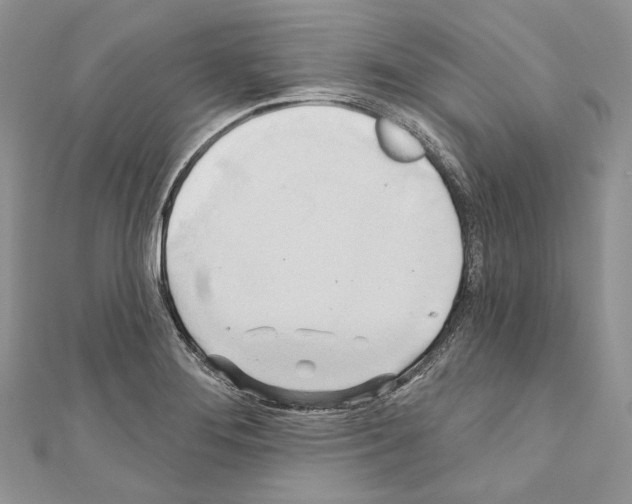 X0000110681276200907241036
