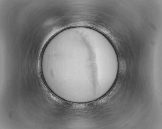 X0000110681278200907241036