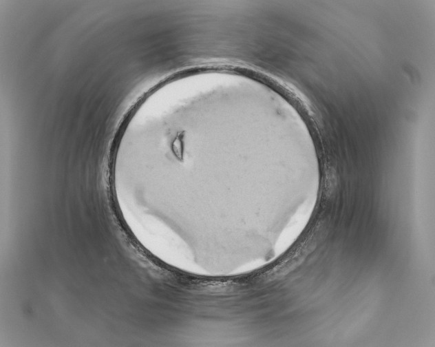 X0000110681279200907241036