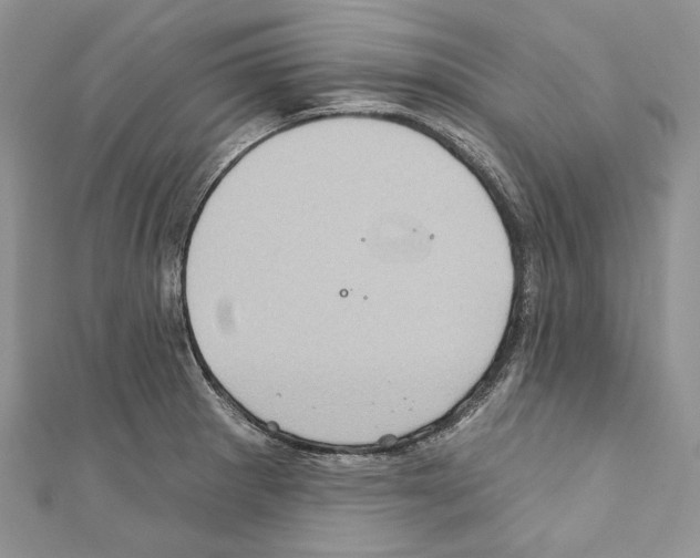 X0000110681281200907241036