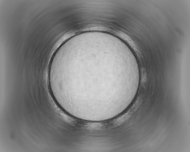 X0000110681282200907241036