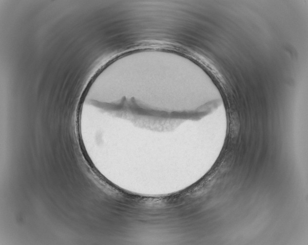 X0000110681283200907241036