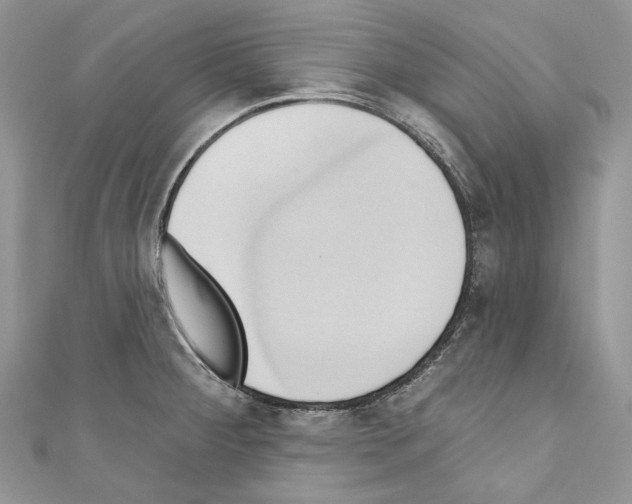X0000110681284200907241036