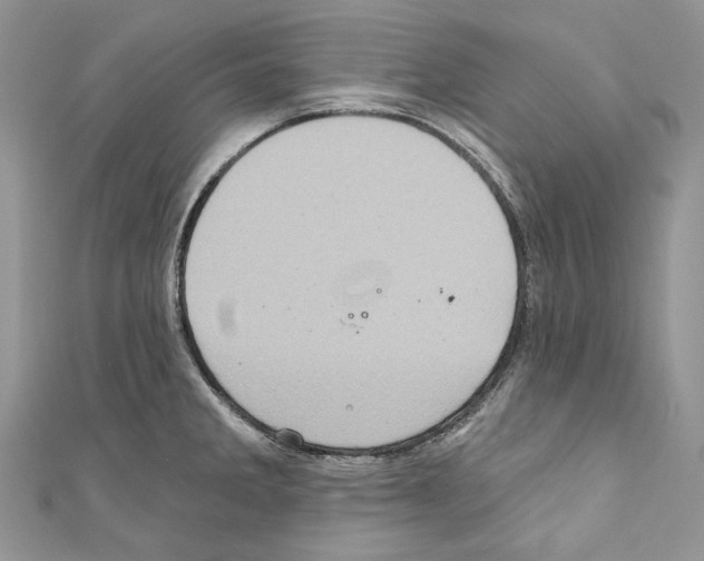 X0000110681285200907241036