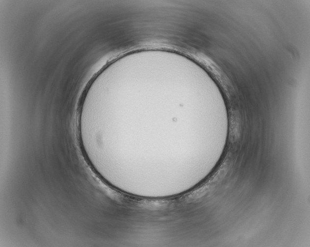 X0000110681286200907241036