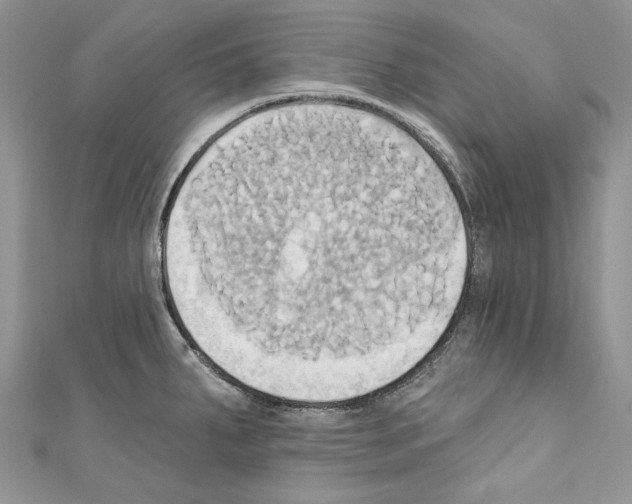 X0000110681287200907241036