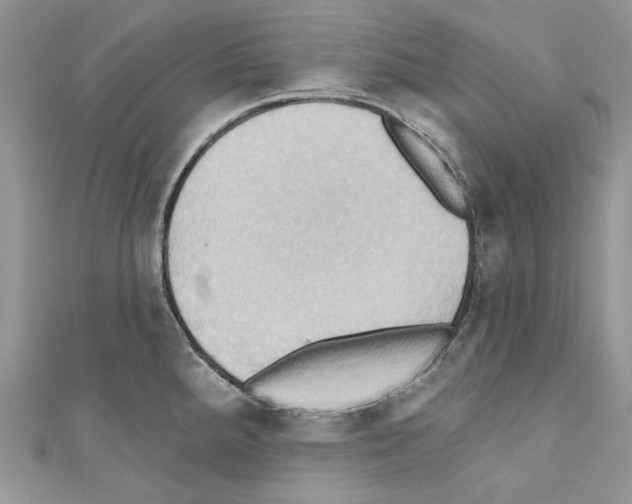 X0000110681288200907241036