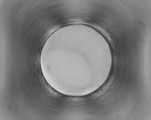 X0000110681289200907241036