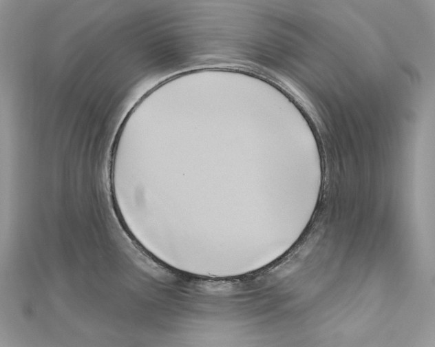 X0000110681291200907241035