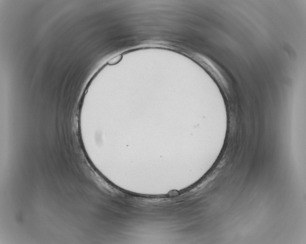 X0000110681292200907241035