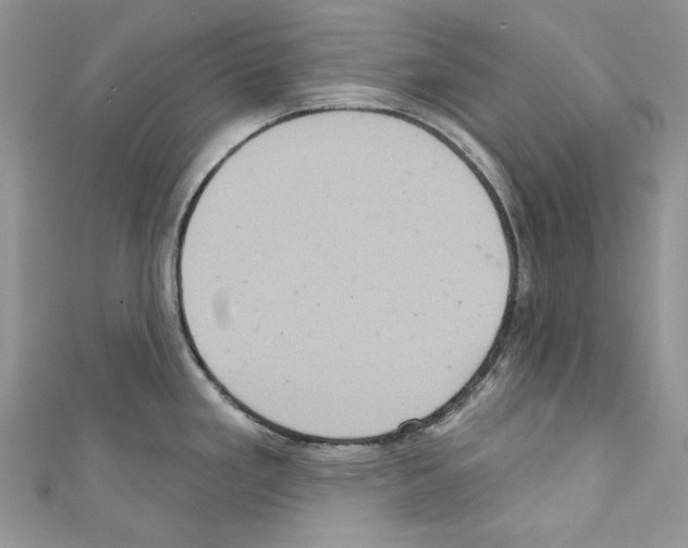 X0000110681293200907241035