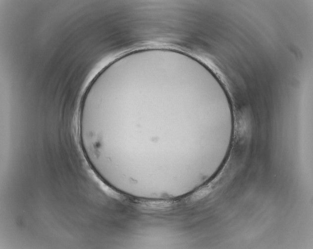 X0000110681294200907241035