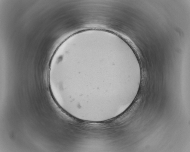X0000110681295200907241035