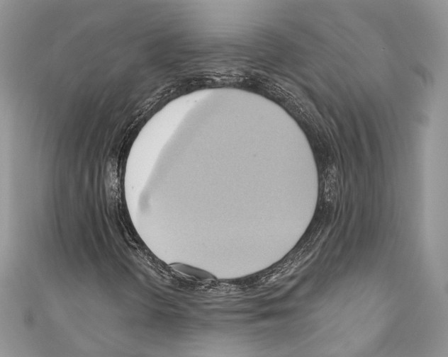 X0000110681298200907241035